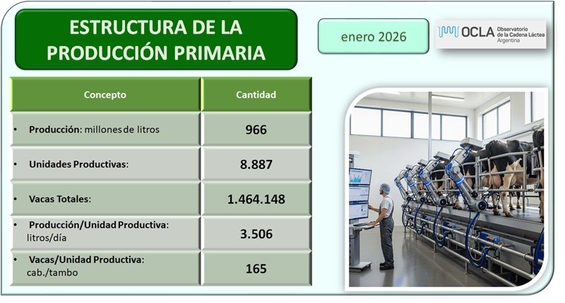 #InformeOCLA
Estructura de la producción primaria – enero 2026 🥛
Los tambos de más de 10.000 litros diarios son solo el 5,6% del total, pero generan casi el 30% de la leche 👉 ocla.org.ar/noticias/35577…�