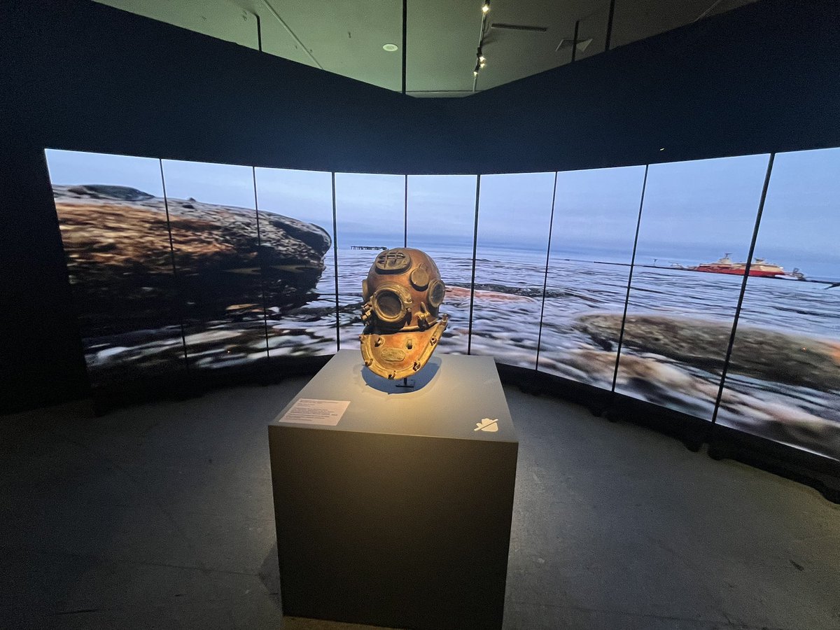 virginia araya maggi tweet media