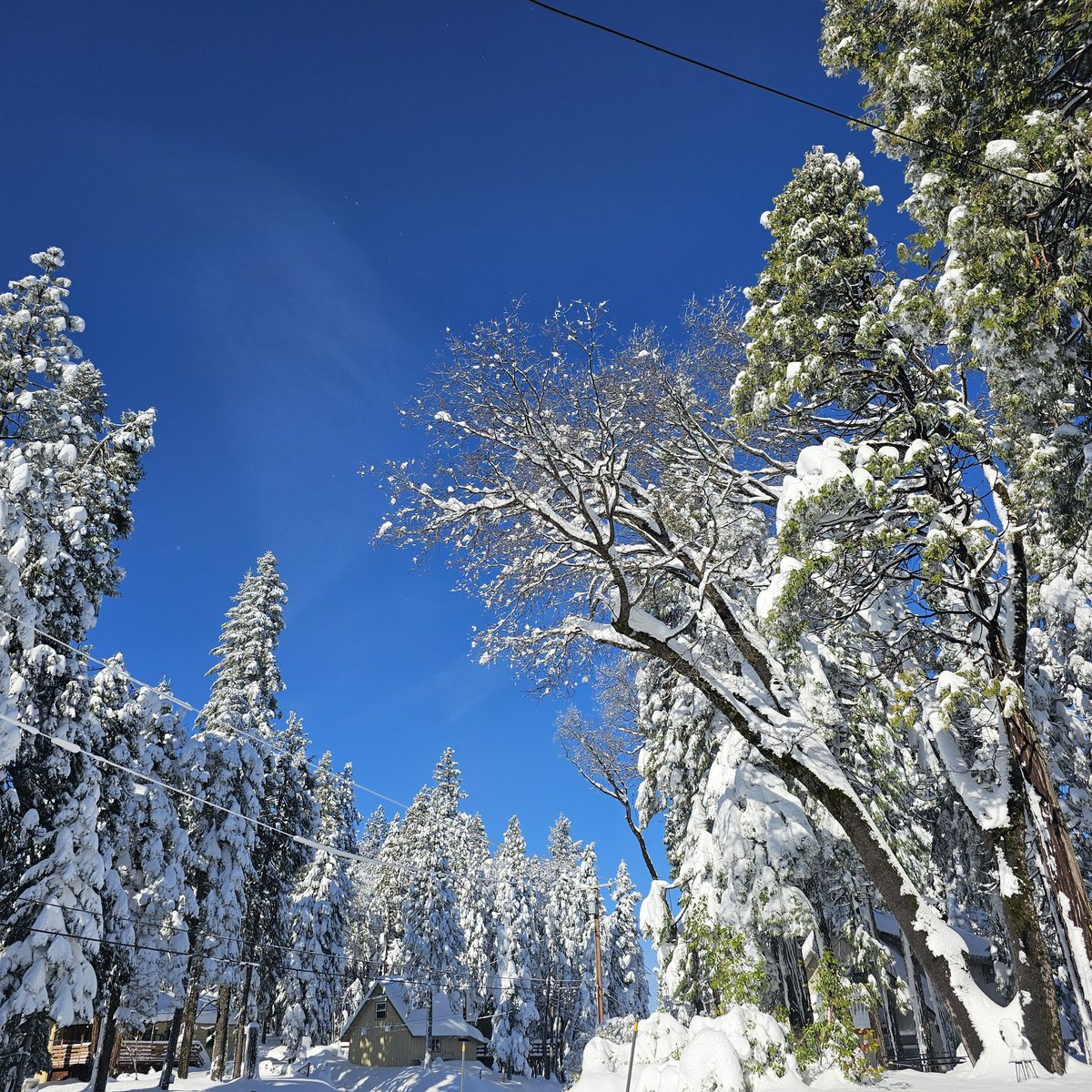 ⛦ (Ky) Kyrus Frei tweet media