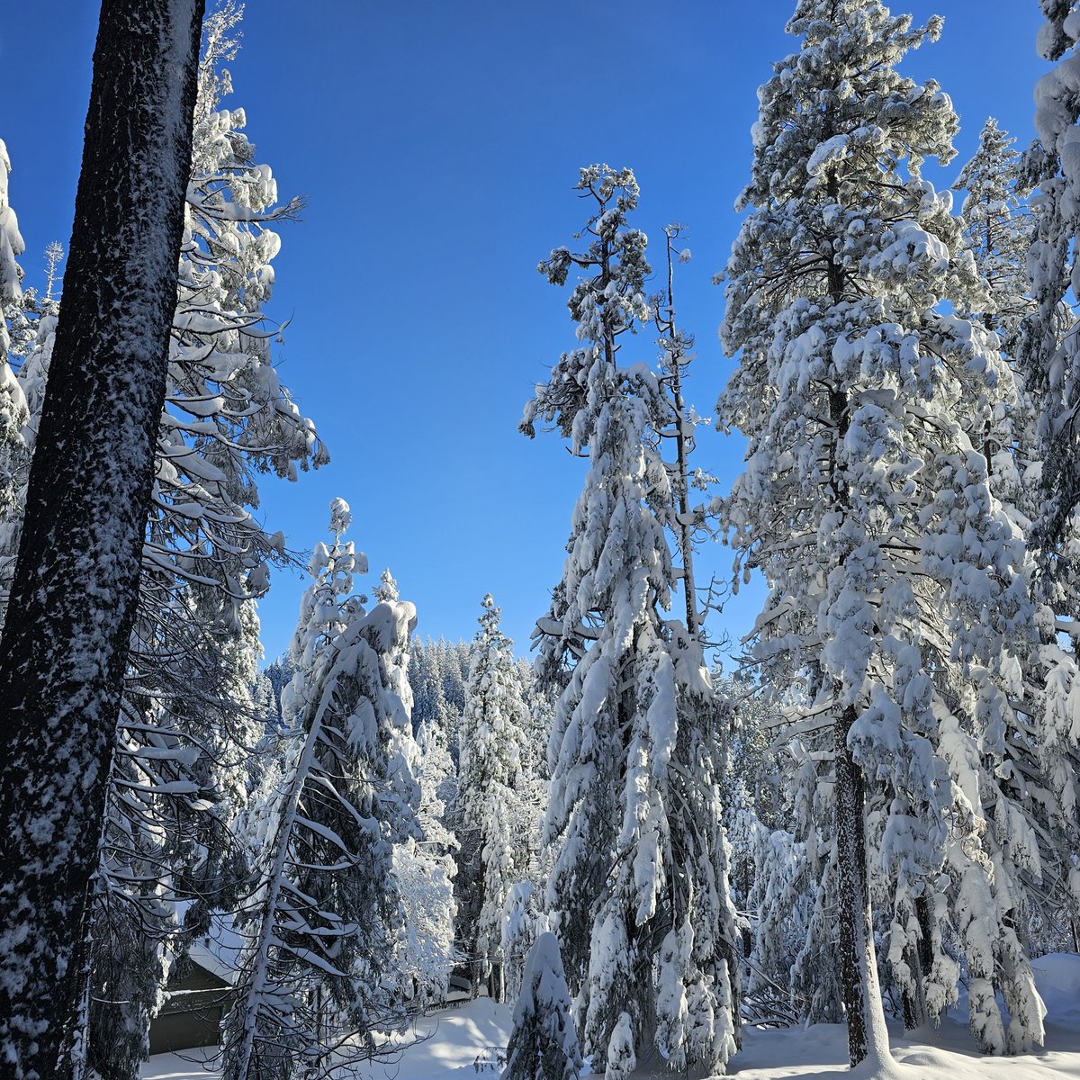 ⛦ (Ky) Kyrus Frei tweet media