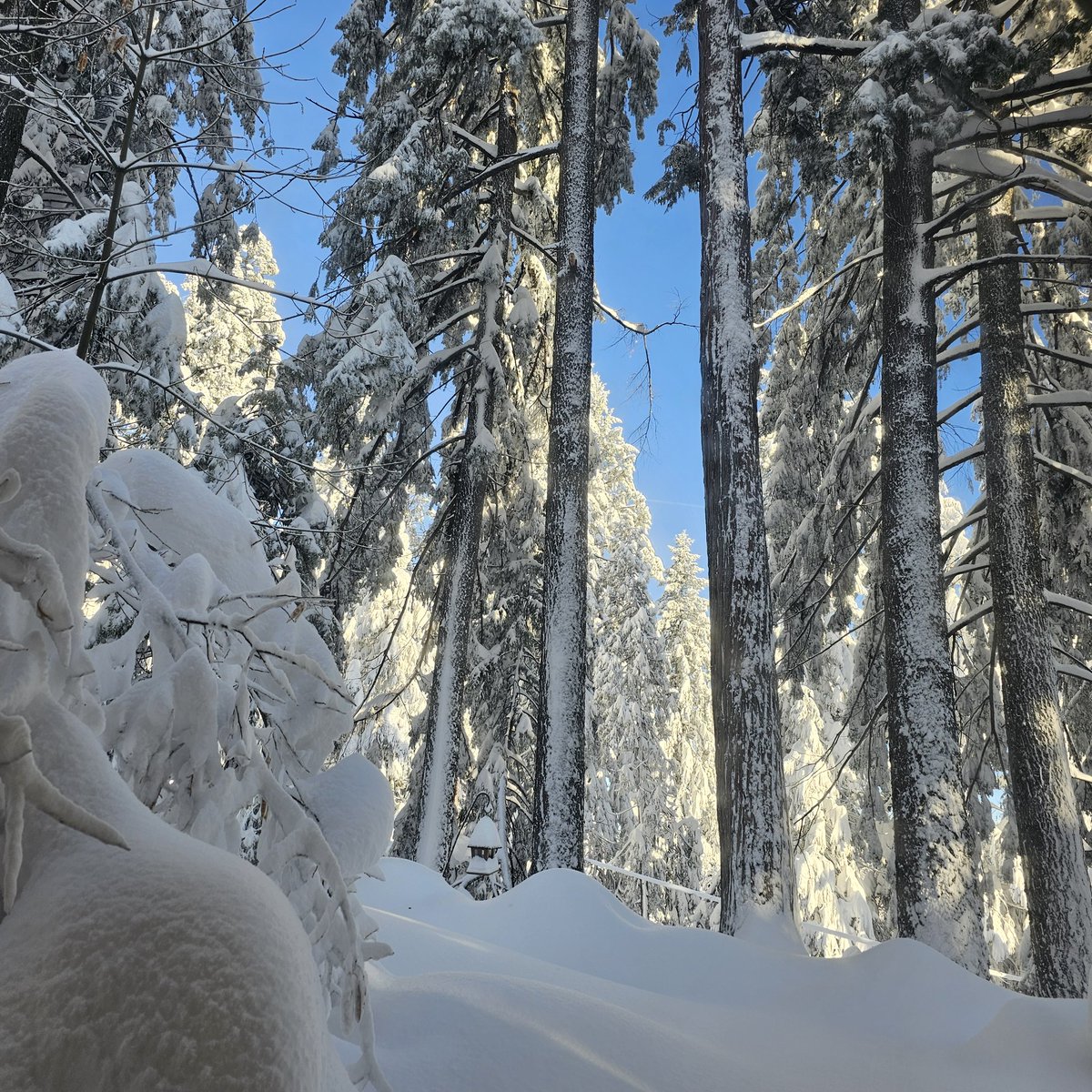 ⛦ (Ky) Kyrus Frei tweet media