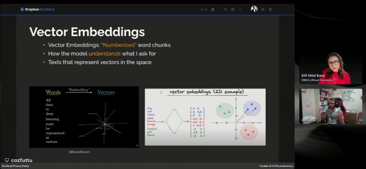 Elif Hilal Kara tweet media