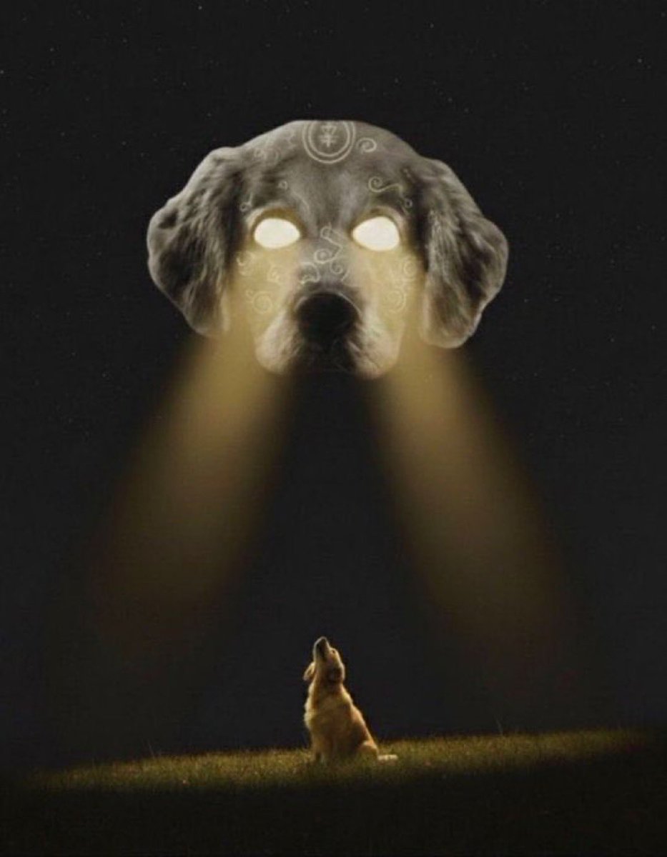 ApexTrade tweet media