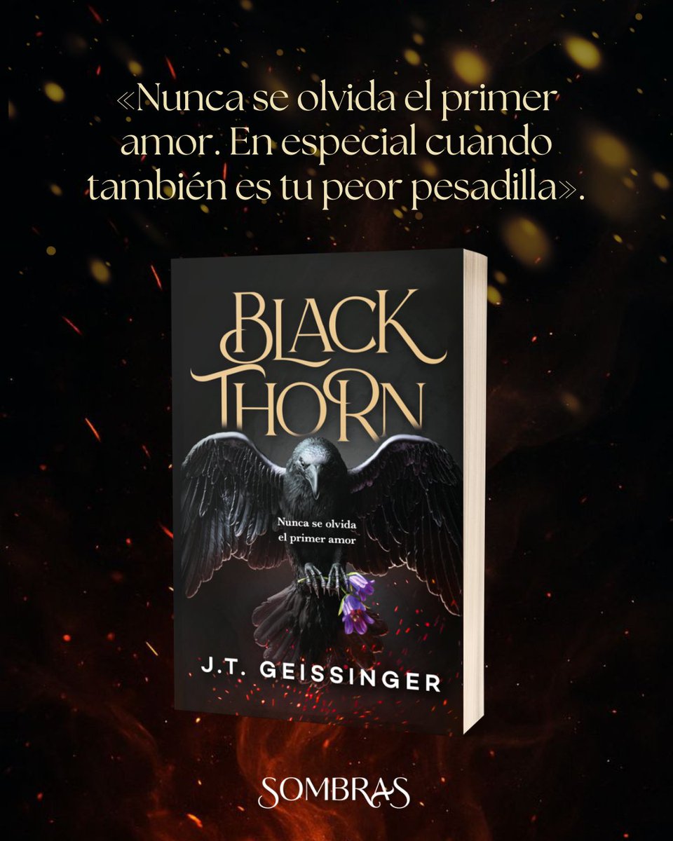 Sombras.ed tweet media