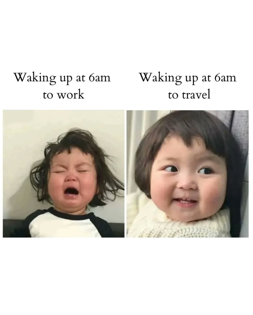 fattyy35's tweet image. RT @Mind_Essentials: