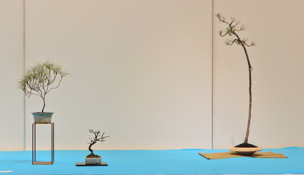 いしかわ ｜水石｜盆栽普及活動｜ (@numeroosuiseki) / Posts / X