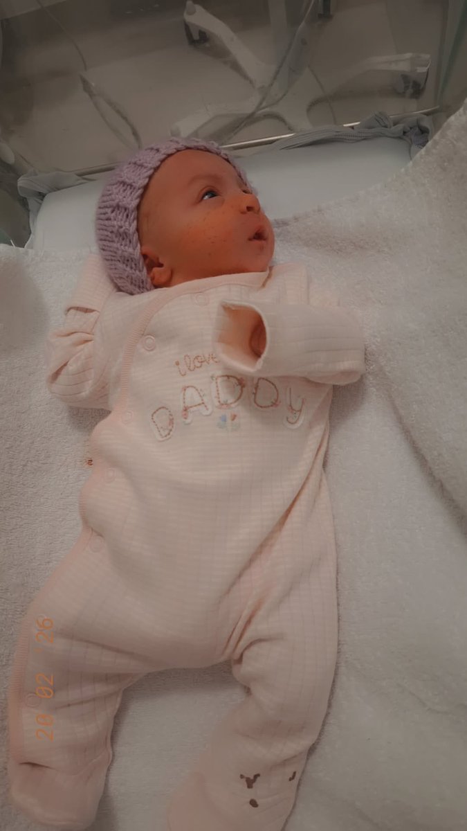 DiamondRocker 💎 tweet media