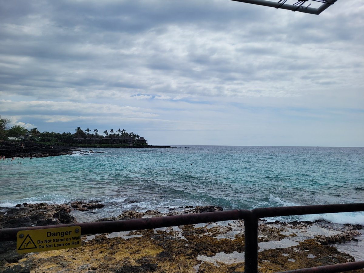 NikokoTee 🌸😺 tweet media