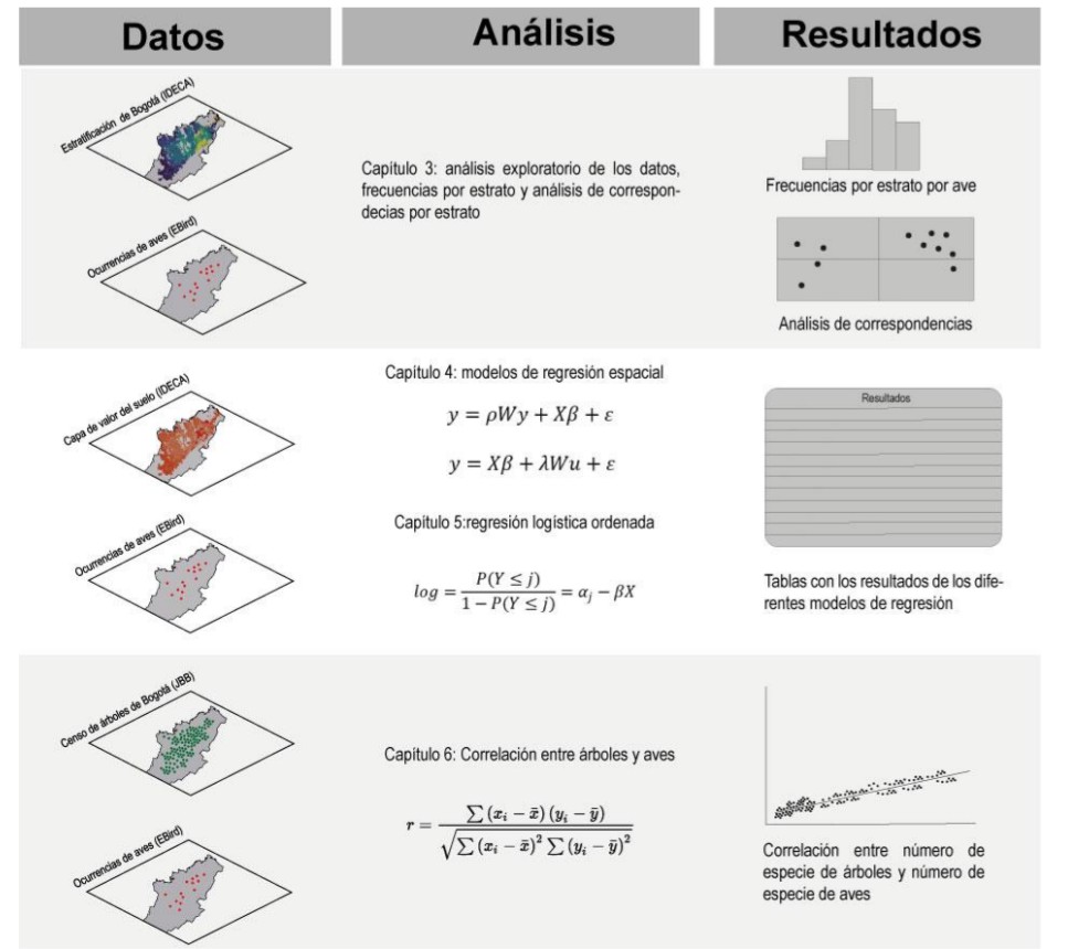 Rodrigo Mutis tweet media