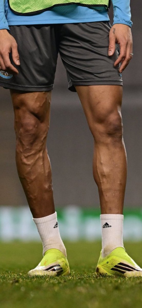 Basit AlKateb tweet media