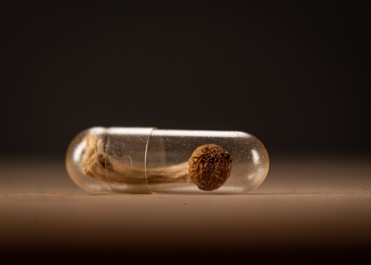 BrownPsychiatry's tweet photo. Can psilocybin therapy be clinically scalable?

Join Mar 4 Psychiatry Grand Rounds with Andrew Novick, MD, PhD, on a feasibility-focused pilot trial in treatment-resistant depression.

1.5 CME/CE • Live Zoom • Pre-reg required:
https://t.co/7RLSSKYS5h
#Psychiatry  #Psychedelics https://t.co/89QEyLyTVz