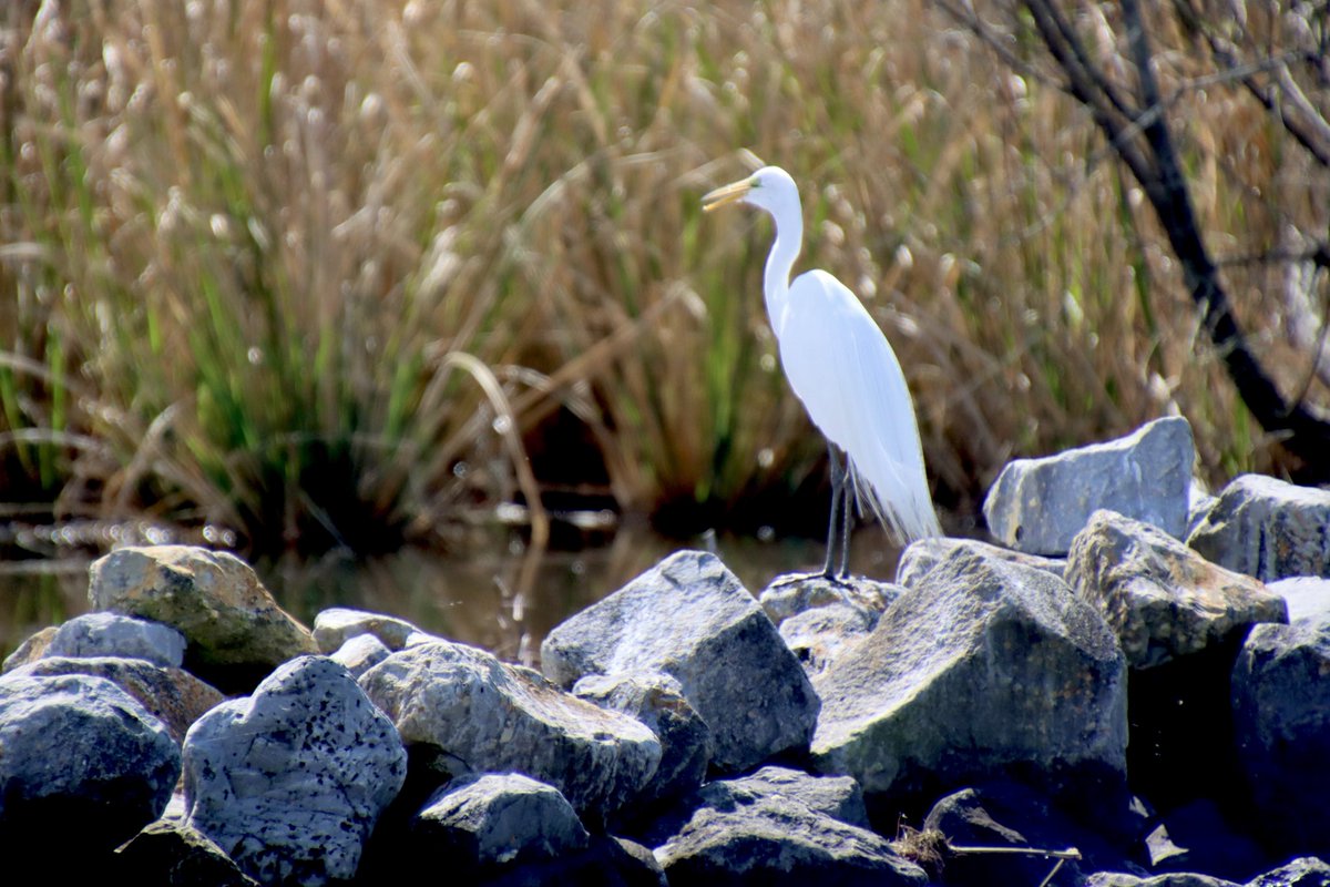 Paul Murphy tweet media