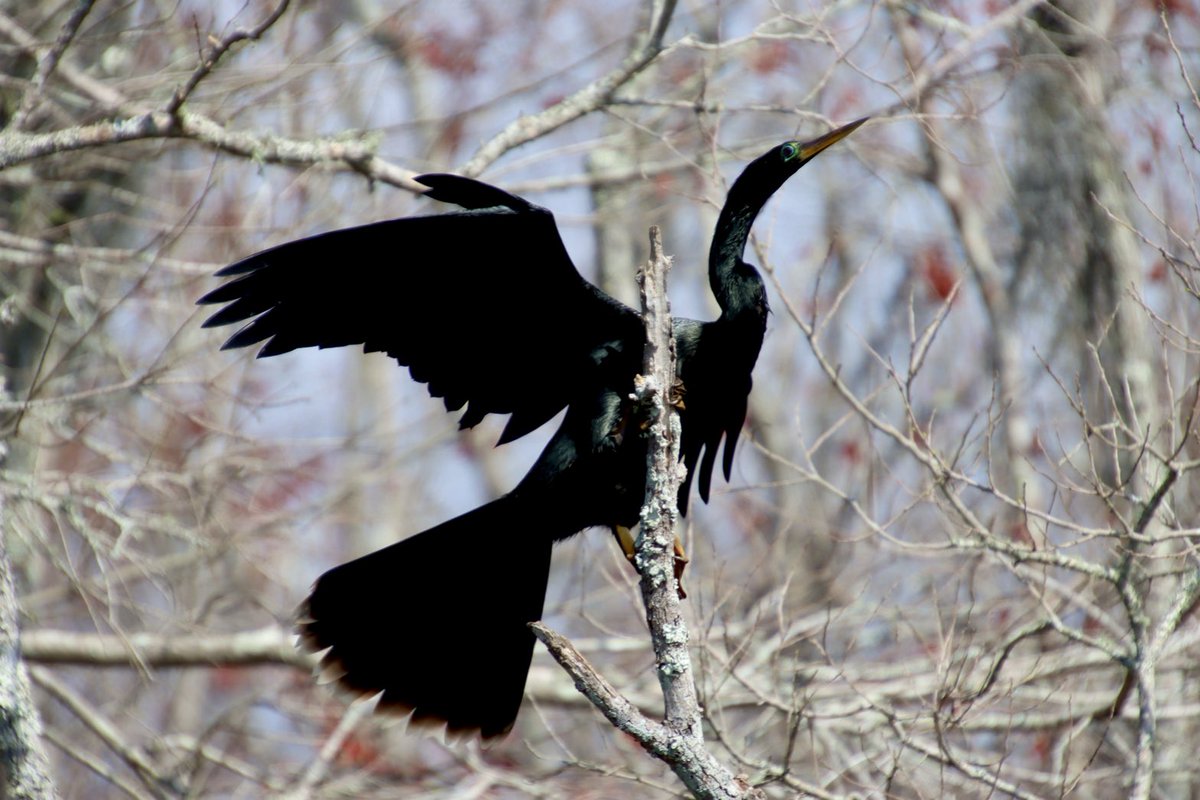 Paul Murphy tweet media