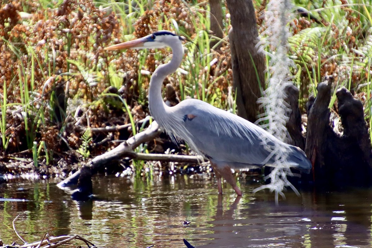 Paul Murphy tweet media