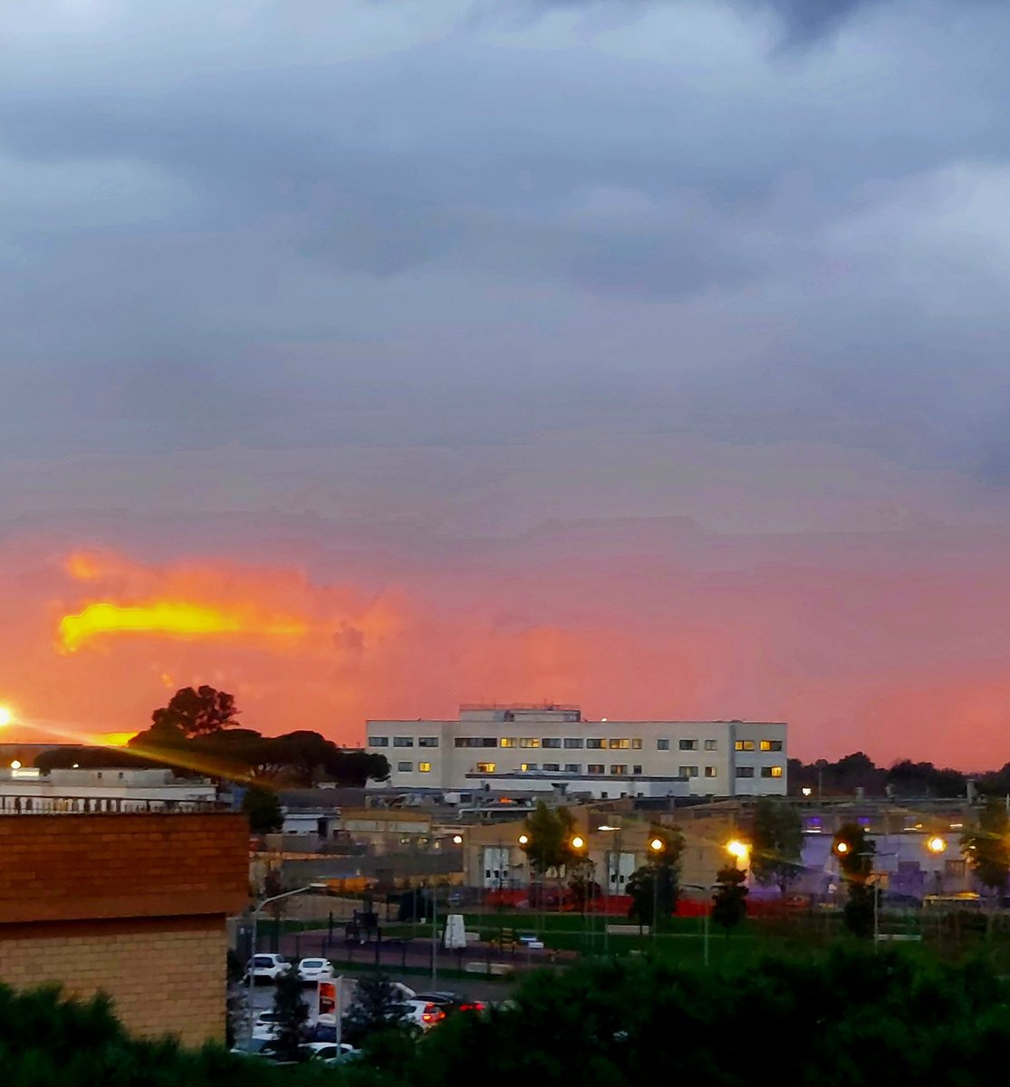 Maria Lea tweet media