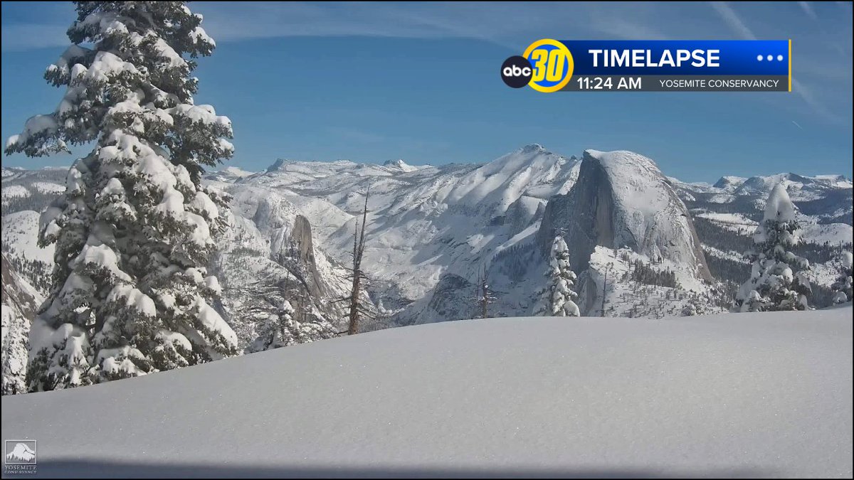 Christine Gregory tweet media