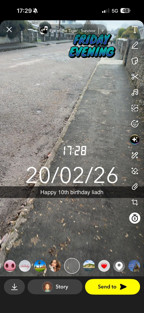 ccfcgirlnickla's tweet photo. Welcome to the family Bella #100daysofwalking #day51 #friday #20feb26 @NewstalkFM happy 10th birthday liagh midterm 2026 https://t.co/Wg8WQqTu0r