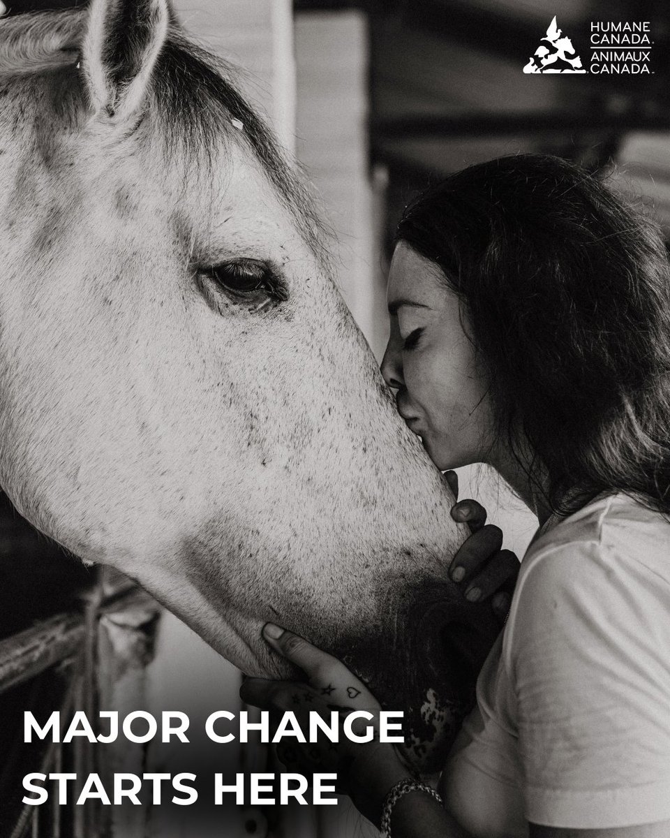 Humane Canada tweet media