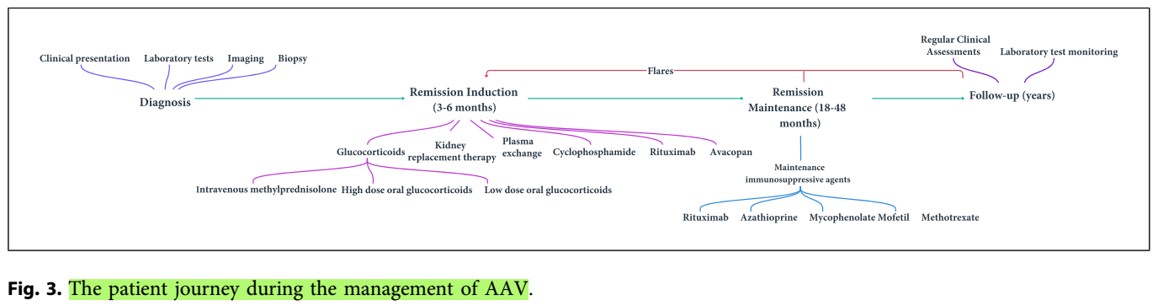Nefro_Tweets tweet media