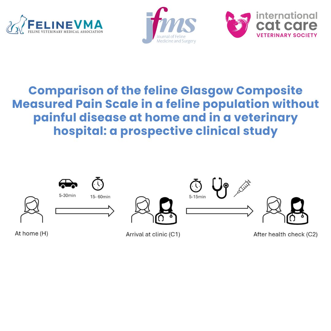 Feline Veterinary Medical Association tweet media