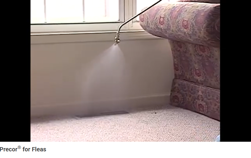 ZoeconCentralLS tweet media