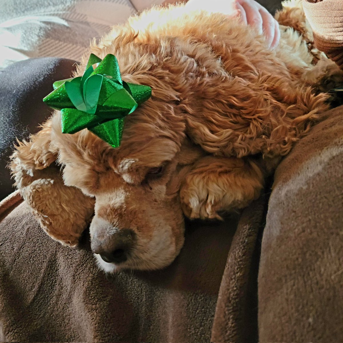 Another Girl tweet media