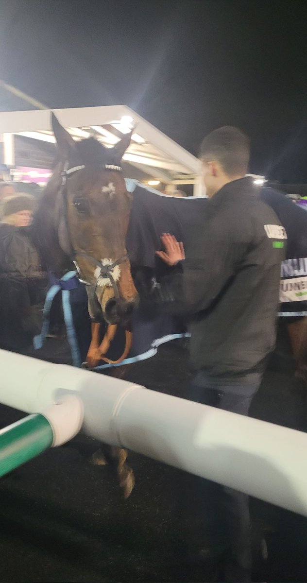 Collette Townroe tweet media