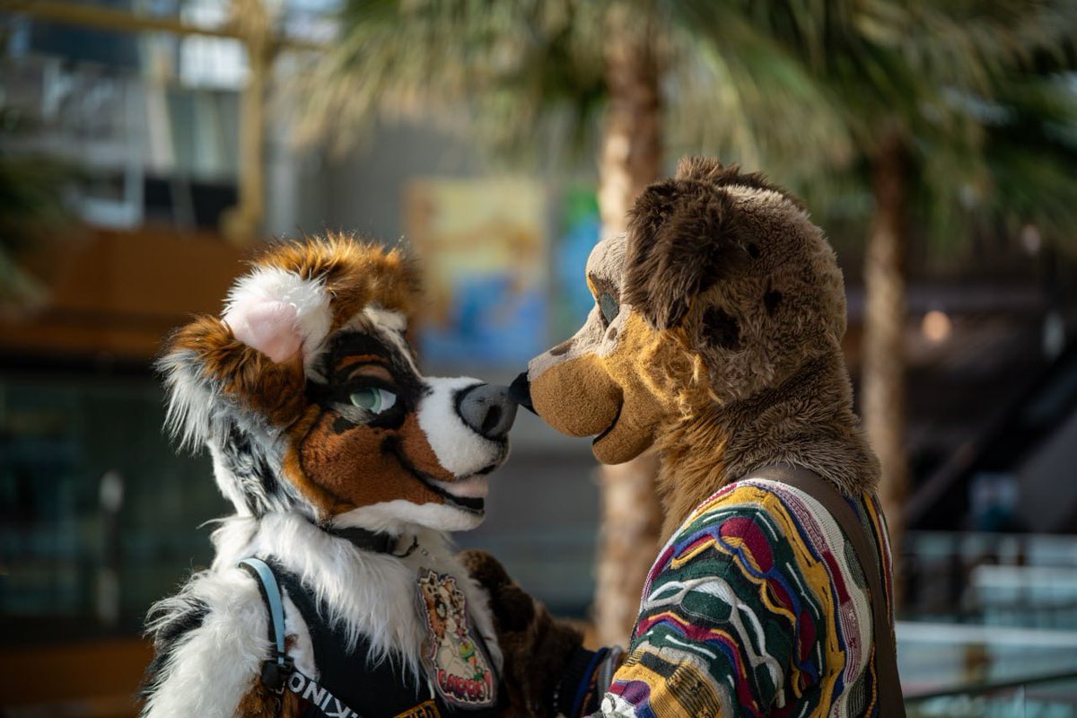 Gerbo 🔜 AC tweet media