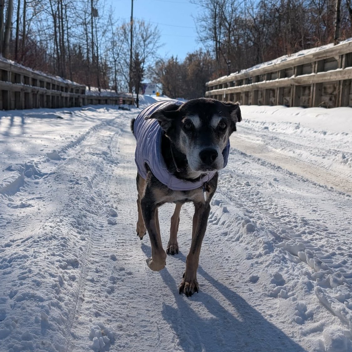 Sarah Ryan tweet media