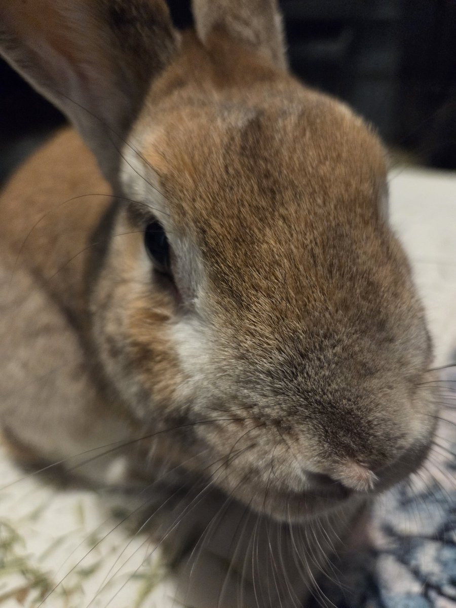 ƊĘŁĪX̌_ÐṚÄŴ§ tweet media