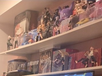 Bokanbeast's tweet photo. @TheSoulRequiem2 Lwk dont even judge him look at your gooner ass shelf gng😭💔💔 https://t.co/hIaefSR6AD