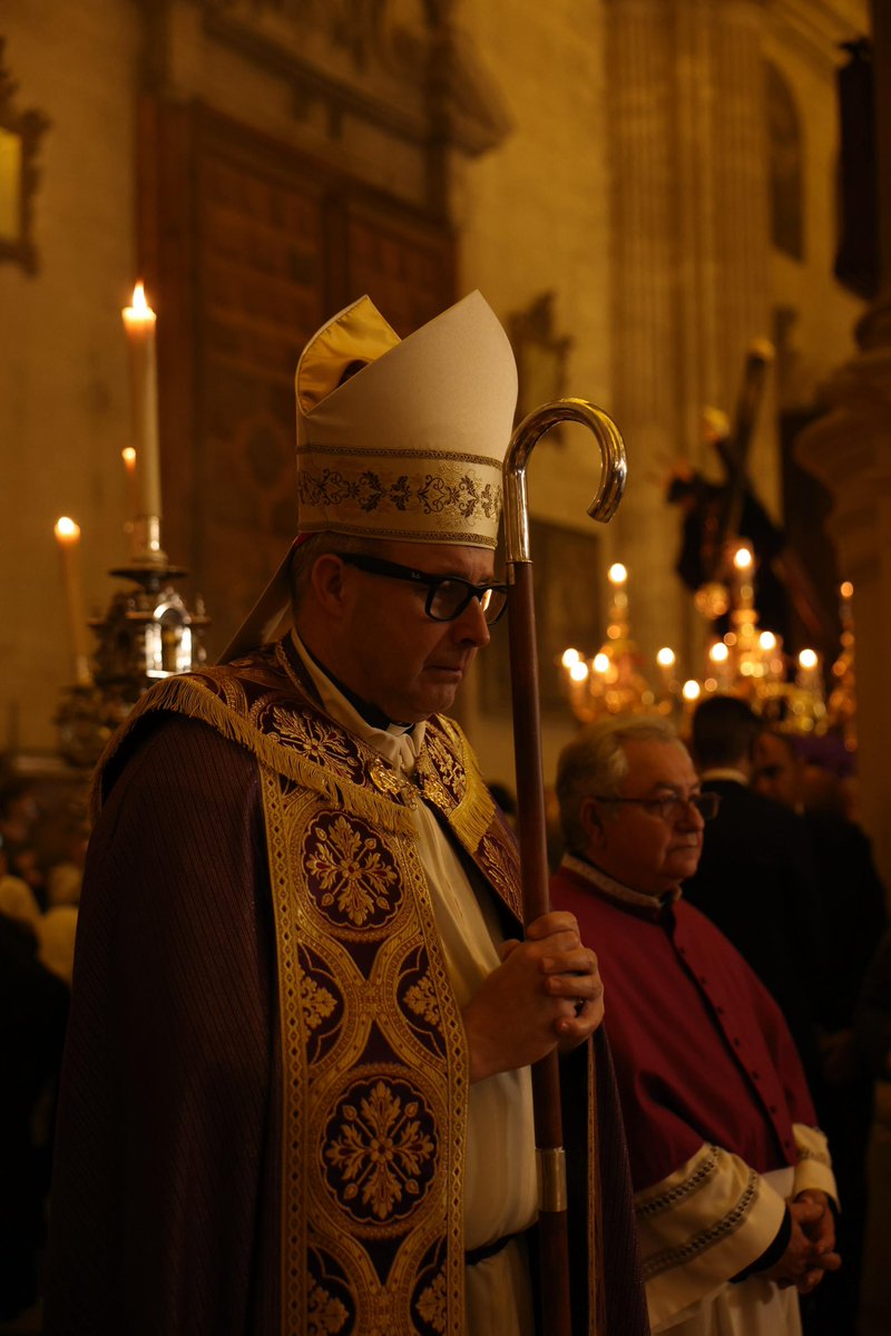 VII Estación
Jesús cae por segunda vez

“Ayúdanos a levantarnos cuando volvemos a caer en el pecado o la debilidad.” #CofradíasMLG