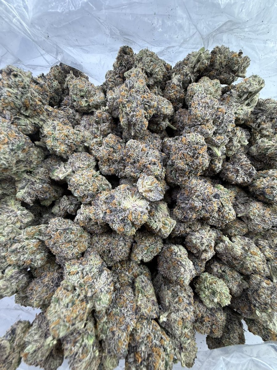 Heir heads 🔥
Designer indoors