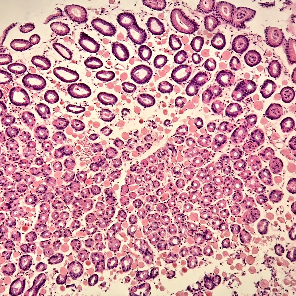 Behnas Malek F.Z tweet media