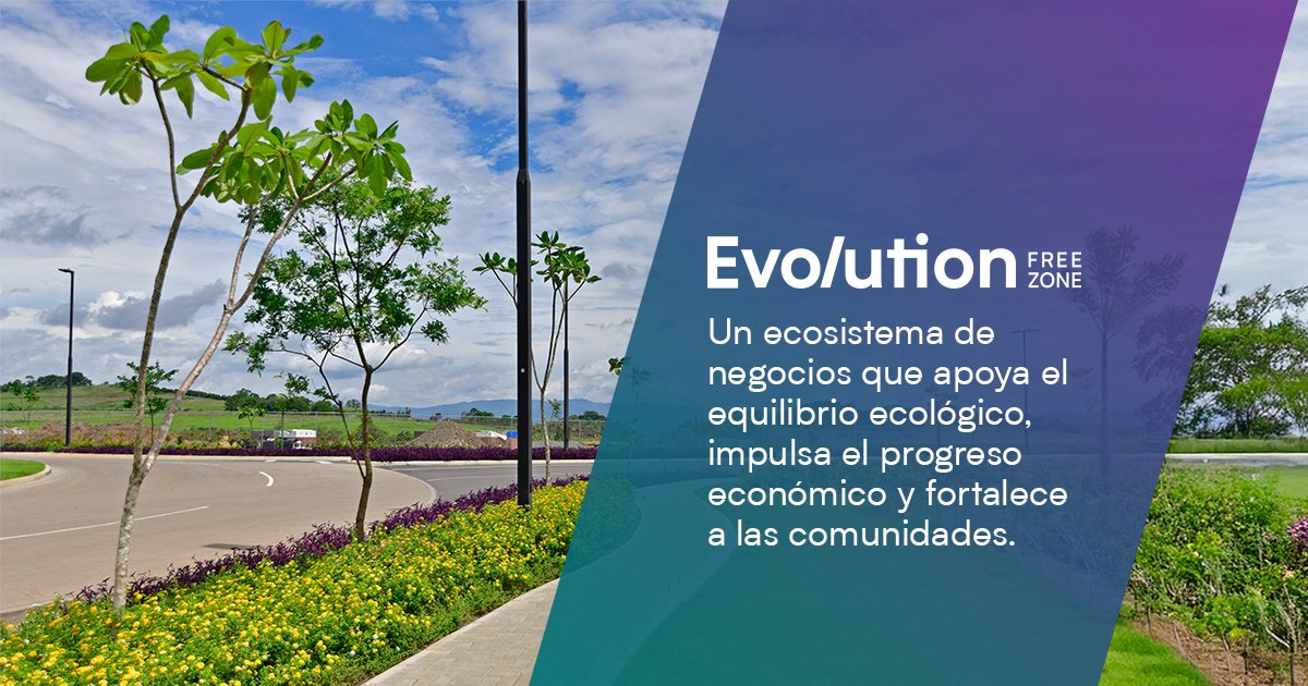 Evolution Free Zone tweet media