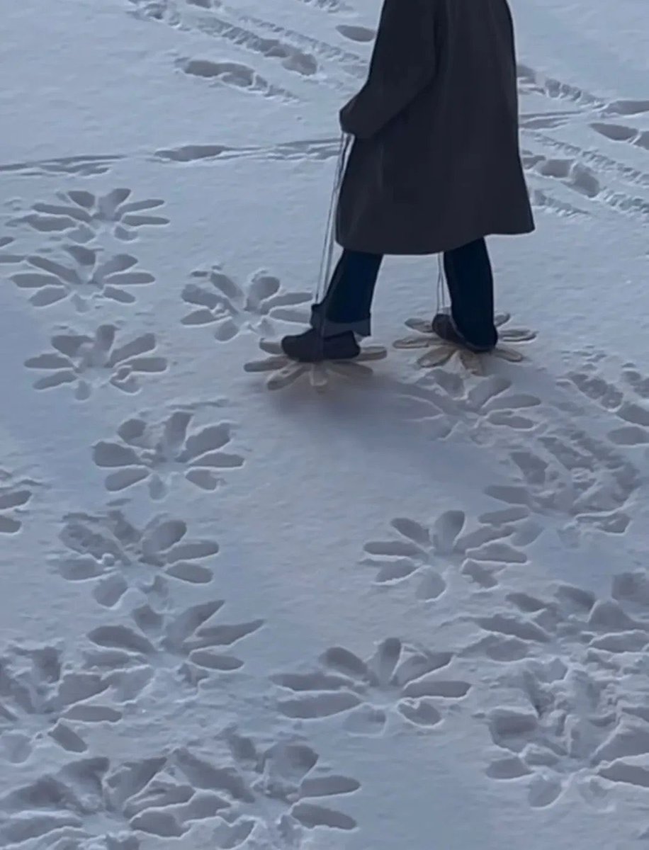 بحر 🌊 (@butterflless) on Twitter photo 