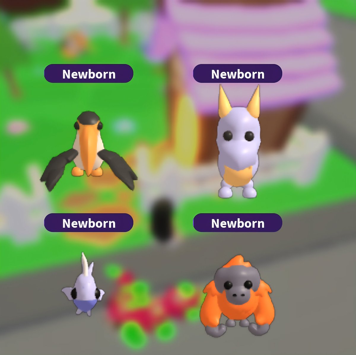 JacTheJackal's tweet photo. Omgg! So I decided I was going to hatch 8 eggs today. First 4 in the pet pen - Diamond Mahi Mahi &amp; Diamond Dragon, so was pretty happy! Second set of 4 in the Pet Pen - Giant Panda!

BTW this is after me obsessing about the Giant Panda and trading for 4 the last 2 days! Omg https://t.co/mziSVf8XoS