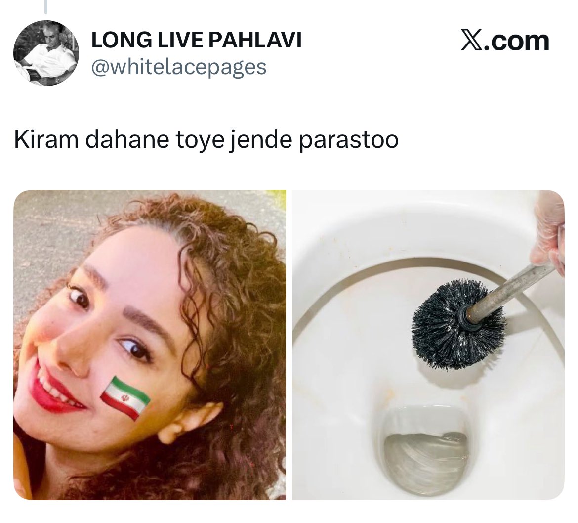 Meanwhile the Daily routine of an Iranian Shia  woman who supports the Islamic Republic and opposes Pahlavi:Receiving nonstop harassment, rape threats, and death threats from pahlavists! 

DEMOCRACY 🤡