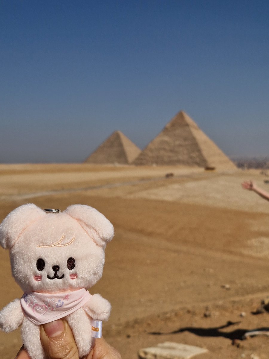 Nemya74's tweet photo. PuppyM en Egypte jour 1 https://t.co/lXN2OwBUL8