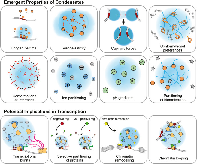 MolecularCell tweet picture