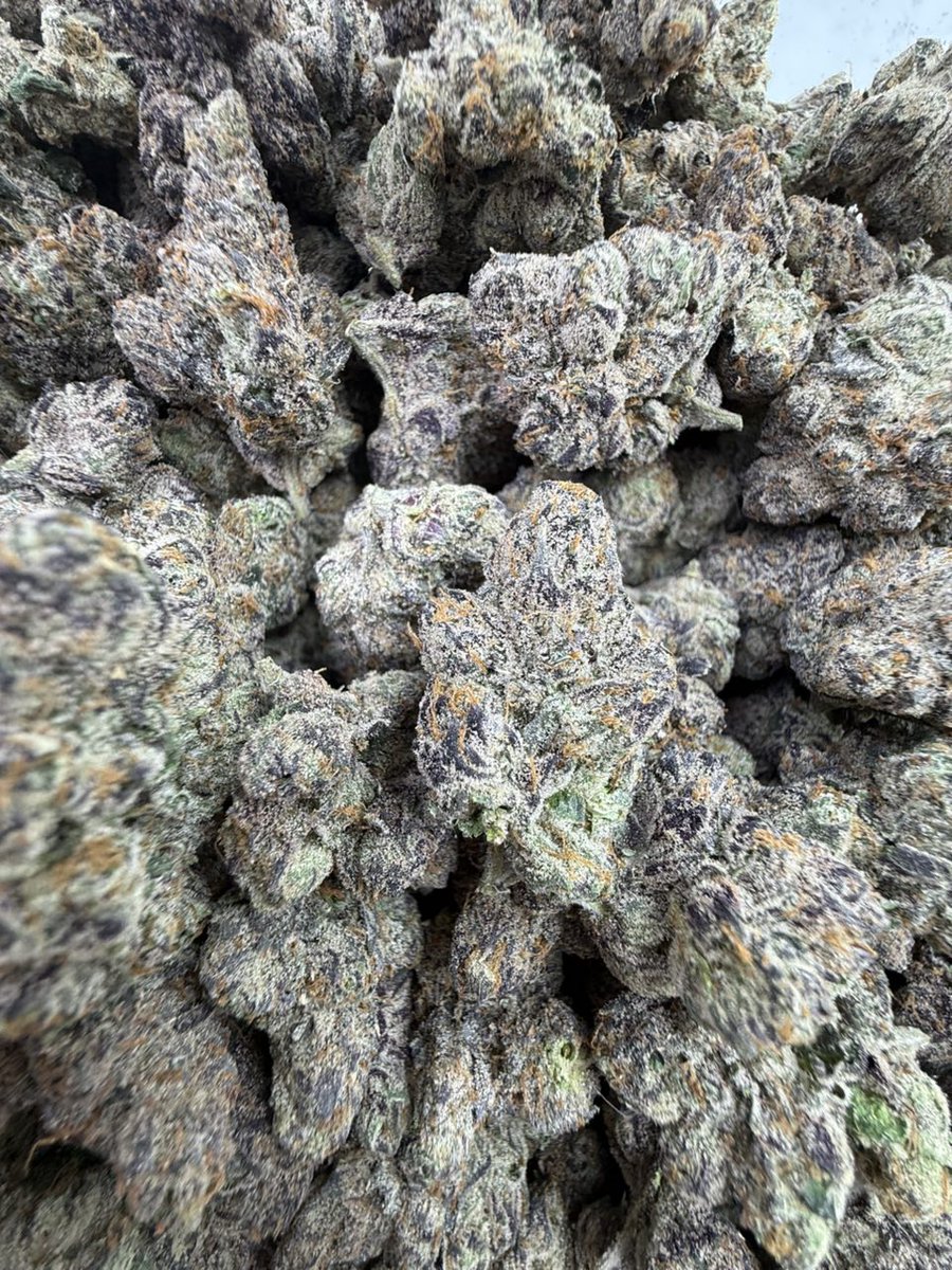 MotherGlass's tweet photo. Gelato 33 https://t.co/UIu3F3X1Mv