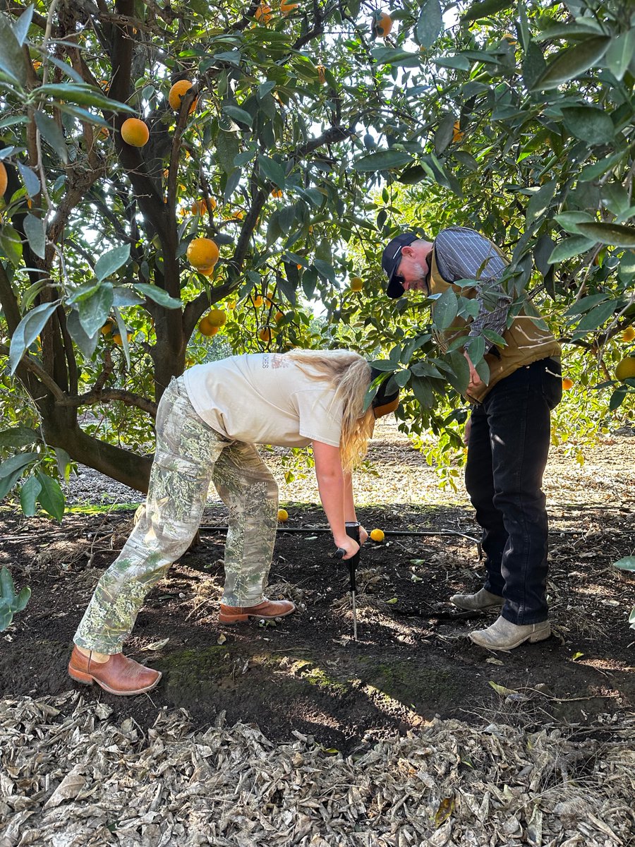 Cal Ag Solutions tweet media