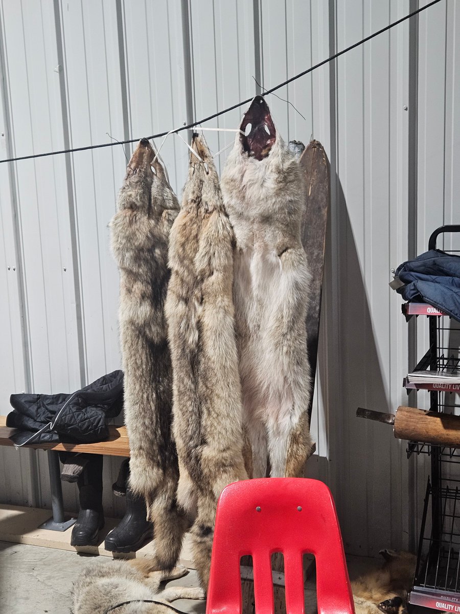 Red River Basin Commission tweet media