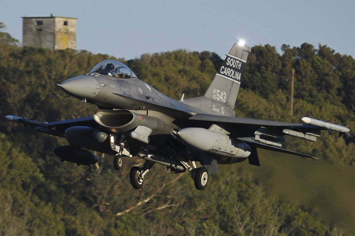 MohammadReza tweet media