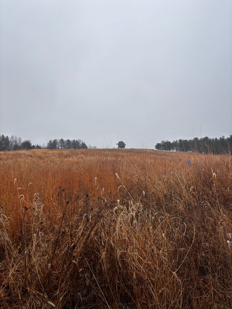 Barred in DC tweet media