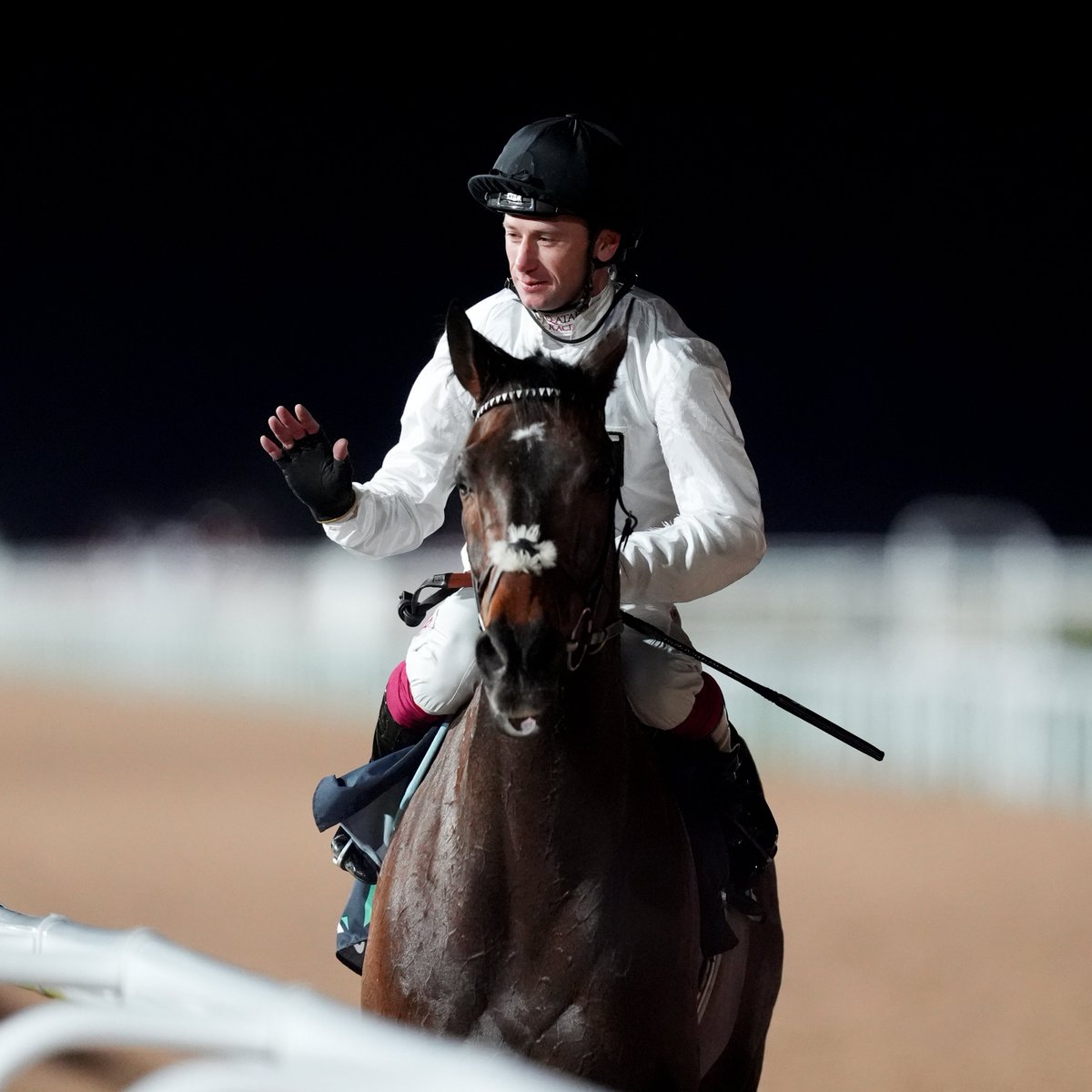 At The Races tweet media