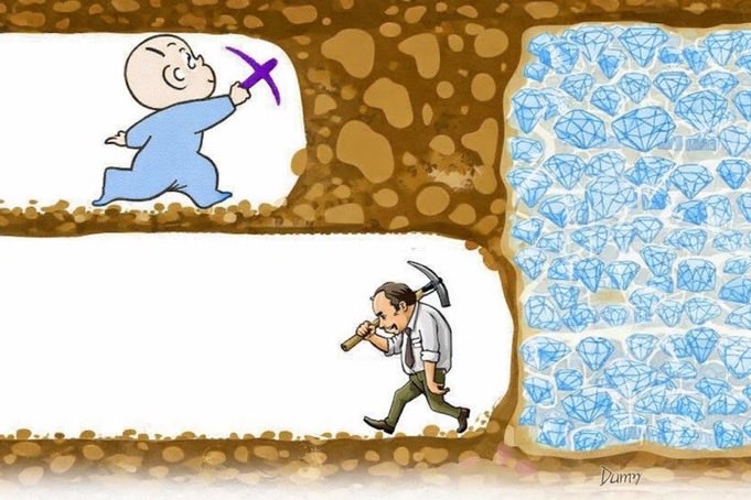 Mitch Finetti tweet media