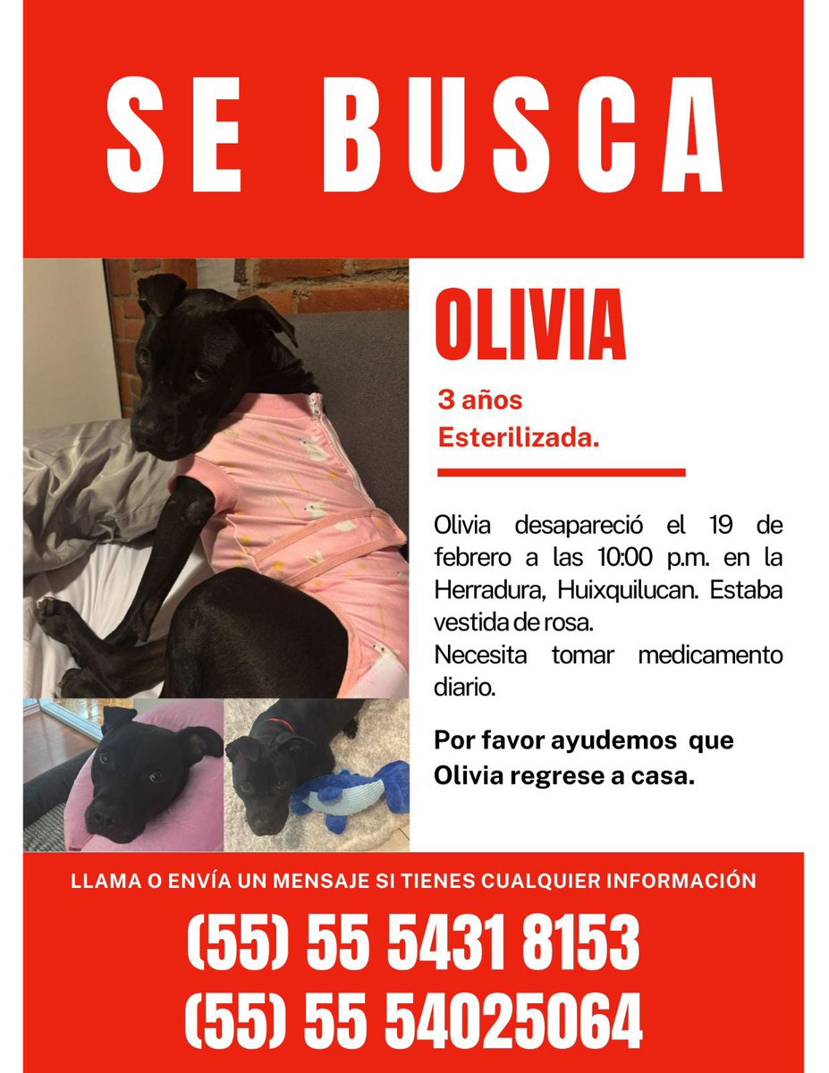 Christopher Uckermann tweet media