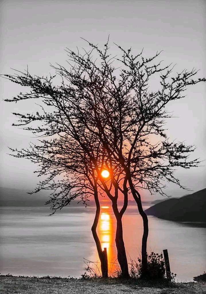 Every Color has its own story to tell.