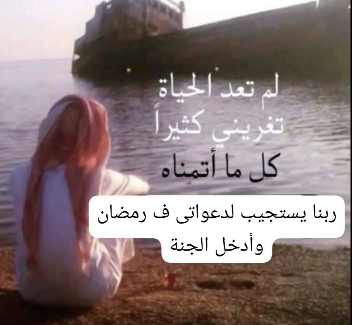 العنكبوت النونو خطفت قلبه عنكبوته (@i1911_) on Twitter photo 